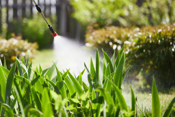Tamper-Resistant Bait Stations for Rodents in Fircrest
