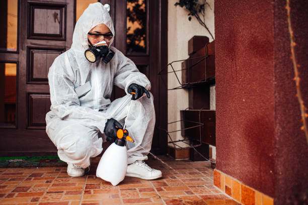 Attic and Crawl Space Rodent Treatment in Fircrest